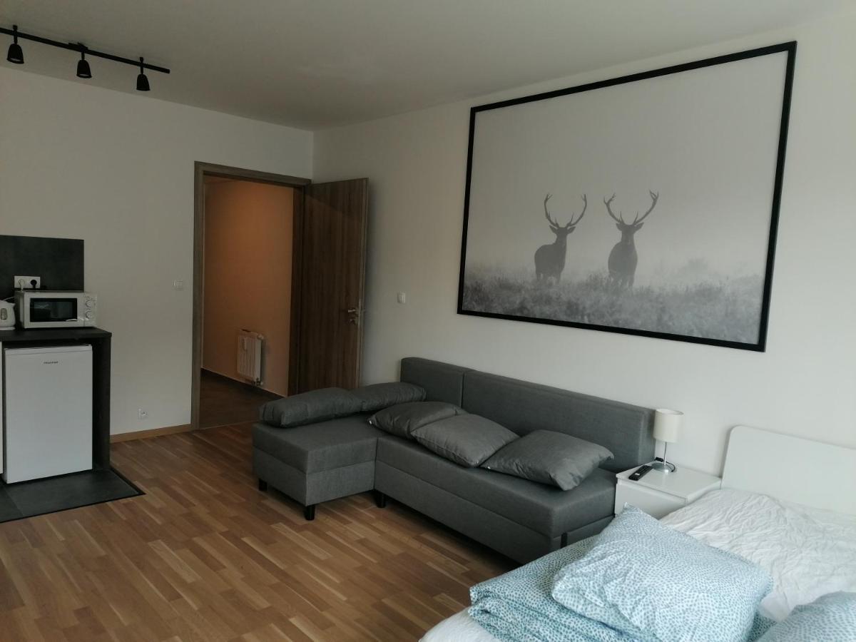 Brand New Studio Apartment #21 With Free Secure Parking In The Center Prag Eksteriør billede